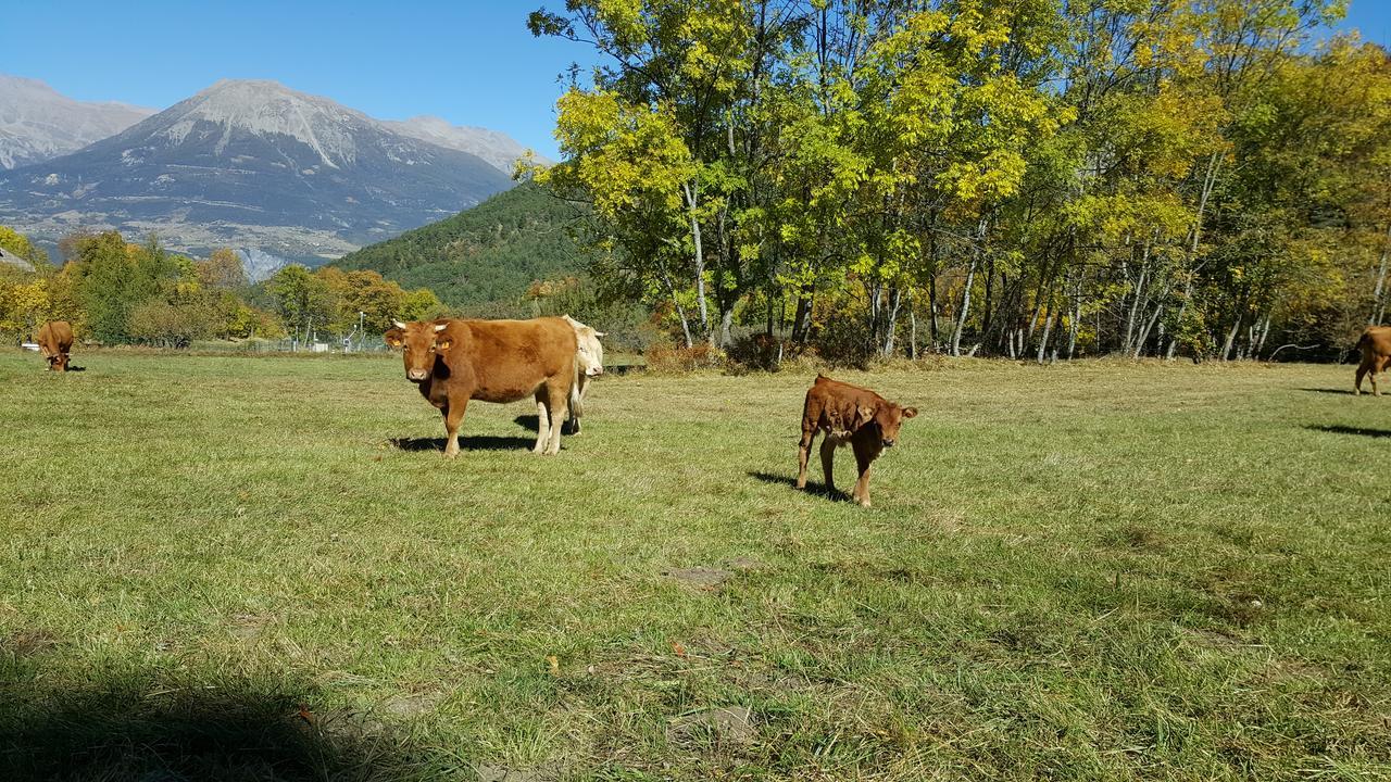 Gite De Boscodon Crots Exterior foto